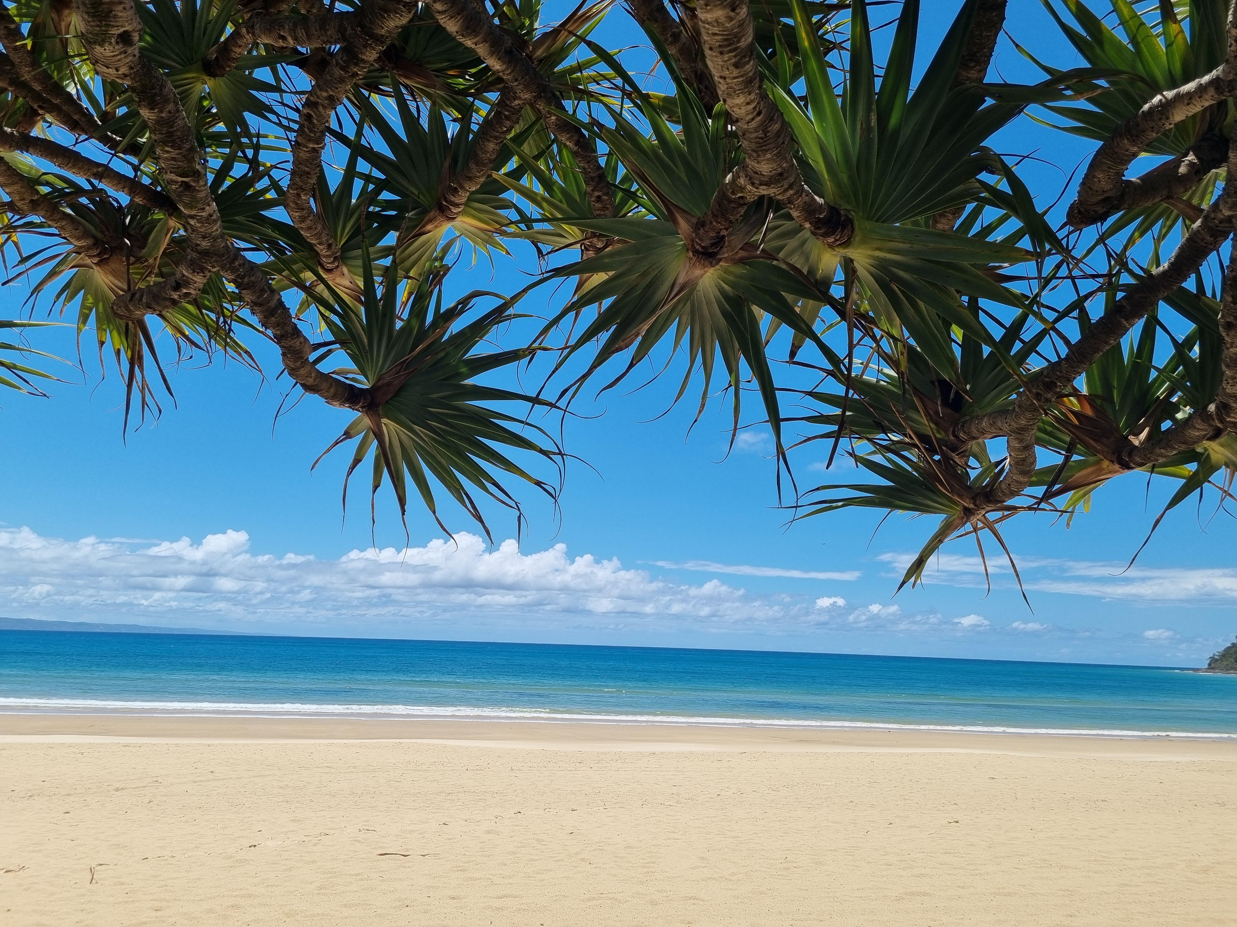 נוסוויל Noosa River Retreat Holiday Apartments מראה חיצוני תמונה